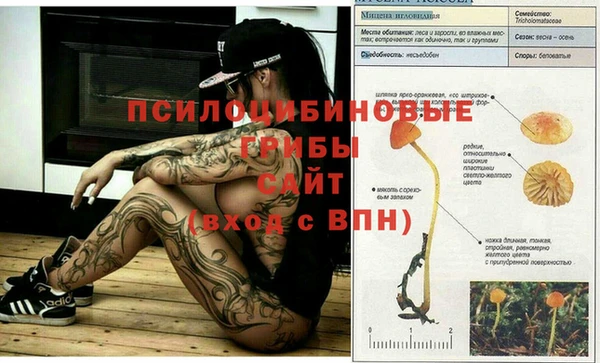 герыч Волосово